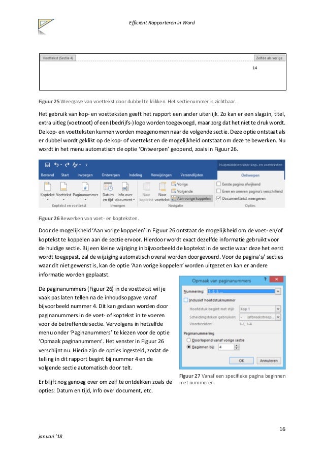 Efficiënt rapporteren in Word