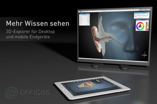 Effigos 3D Explorer Ohr