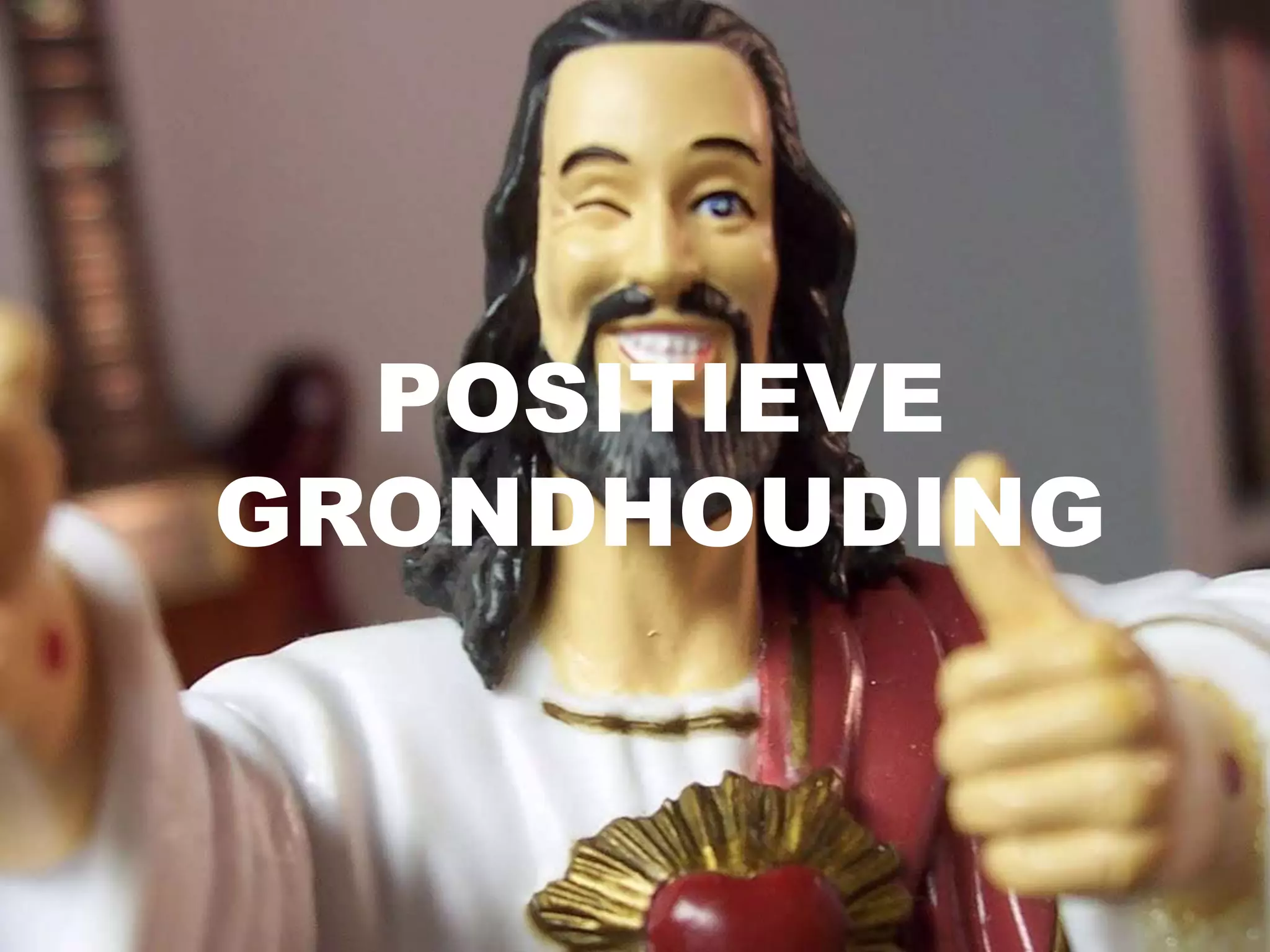 Albrecht Dürer
POSITIEVE
GRONDHOUDING

 