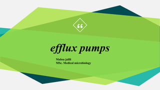 “
efflux pumps
1
Mahsa jalili
MSc. Medical microbiology
 