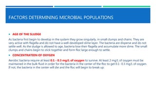 FACTORS DETERMINING MICROBIAL POPULATIONS
 AGE OF THE SLUDGE
As bacteria first begin to develop in the system they grow singularly, in small clumps and chains. They are
very active with flagella and do not have a well-developed slime layer. The bacteria are disperse and do not
settle well. As the sludge is allowed to age, bacteria lose their flagella and accumulate more slime. The small
clumps and chains begin to stick together and form floc large enough to settle.
 CONCENTRATION OF OXYGEN
Aerobic bacteria require at least 0.1 - 0.3 mg/L of oxygen to survive. At least 2 mg/L of oxygen must be
maintained in the bulk fluid in order for the bacteria in the center of the floc to get 0.1- 0.3 mg/L of oxygen.
If not, the bacteria in the center will die and the floc will begin to break up.
 