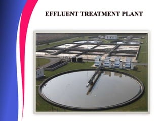 Effluent Treatment Plant in Chennai.pptx