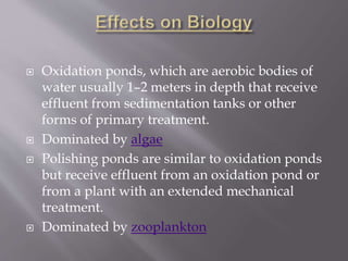  Oxidation ponds, which are aerobic bodies of 
water usually 1–2 meters in depth that receive 
effluent from sedimentation tanks or other 
forms of primary treatment. 
 Dominated by algae 
 Polishing ponds are similar to oxidation ponds 
but receive effluent from an oxidation pond or 
from a plant with an extended mechanical 
treatment. 
 Dominated by zooplankton 
