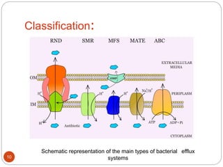 Classification:
Schematic representation of the main types of bacterial efflux
systems10
 