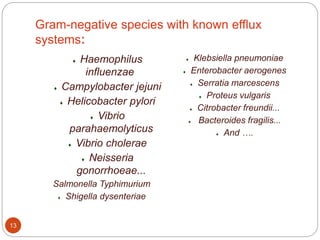 Gram-negative species with known efflux
systems:
 Haemophilus
influenzae
 Campylobacter jejuni
 Helicobacter pylori
 Vibrio
parahaemolyticus
 Vibrio cholerae
 Neisseria
gonorrhoeae...
Salmonella Typhimurium
 Shigella dysenteriae
 Klebsiella pneumoniae
 Enterobacter aerogenes
 Serratia marcescens
 Proteus vulgaris
 Citrobacter freundii...
 Bacteroides fragilis...
 And ….
13
 