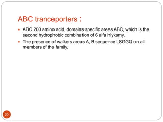 ABC tranceporters :
 ABC 200 amino acid, domains specific areas ABC, which is the
second hydrophobic combination of 6 alfa hlyksmy.
 The presence of walkers areas A, B sequence LSGGQ on all
members of the family.
20
 