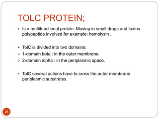 TOLC PROTEIN;
 Is a multifunctional protein. Moving in small drugs and toxins
polypeptide involved.for example: hemolysin .
 TolC is divided into two domains:
 1-domain beta : in the outer membrane.
 2-domain alpha : in the periplasmic space.
 TolC several actions have to cross the outer membrane
periplasmic substrates.
28
 
