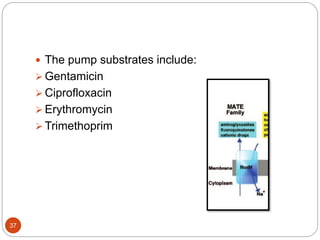  The pump substrates include:
 Gentamicin
 Ciprofloxacin
 Erythromycin
 Trimethoprim
37
 