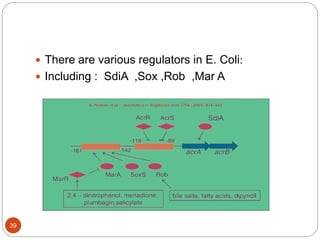  There are various regulators in E. Coli:
 Including : SdiA ,Sox ,Rob ,Mar A
39
 