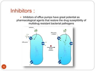 Inhibitors :
 Inhibitors of efflux pumps have great potential as
pharmacological agents that restore the drug suseptibility of
multidrug resistant bacterial pathogens
42
 
