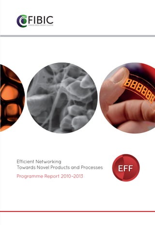 Ohjelmatunnukset

Efficient Networking
Towards Novel Products and Processes
Programme Report 2010–2013

 