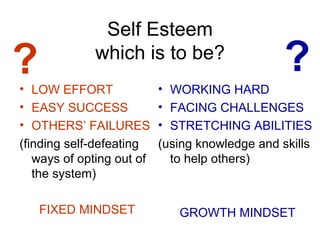 Self Esteem which is to be? LOW EFFORT EASY SUCCESS OTHERS’ FAILURES (finding self-defeating ways of opting out of the system) FIXED MINDSET WORKING HARD FACING CHALLENGES STRETCHING ABILITIES (using knowledge and skills to help others) GROWTH MINDSET ? ? 