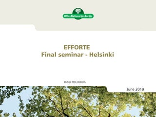 Didier PISCHEDDA
EFFORTE
Final seminar - Helsinki
June 2019
 