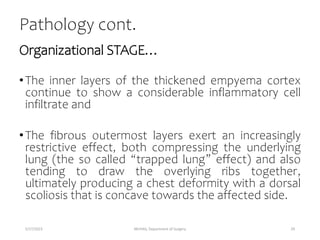 Pathology cont.
Organizational STAGE…
•The inner layers of the thickened empyema cortex
continue to show a considerable inflammatory cell
infiltrate and
•The fibrous outermost layers exert an increasingly
restrictive effect, both compressing the underlying
lung (the so called “trapped lung” effect) and also
tending to draw the overlying ribs together,
ultimately producing a chest deformity with a dorsal
scoliosis that is concave towards the affected side.
5/17/2023 MUHAS, Department of Surgery 29
 