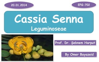 20.01.2014
By Omer Bayazeid
Cassia Senna
Leguminoseae
EFG-702
Prof. Dr. Şebnem Harput
 