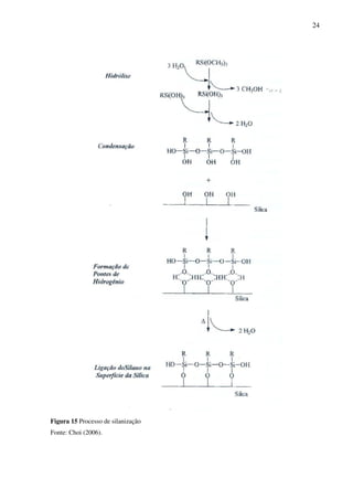 24




Figura 15 Processo de silanização
Fonte: Choi (2006).
 