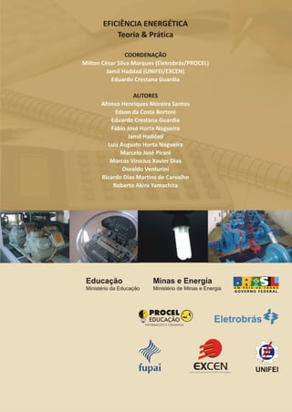 Eficiencia_energetica_Teoria_pratica.pdf