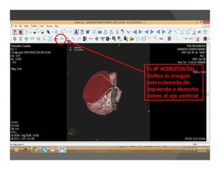 FLIP HORIZONTAL:
Voltea la imagen
seleccionada de
izquierda a derecha
sobre el eje vertical.
 