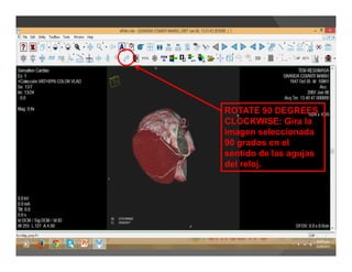 ROTATE 90 DEGREES
CLOCKWISE: Gira la
imagen seleccionada
90 grados en el
sentido de las agujas
del reloj.
 