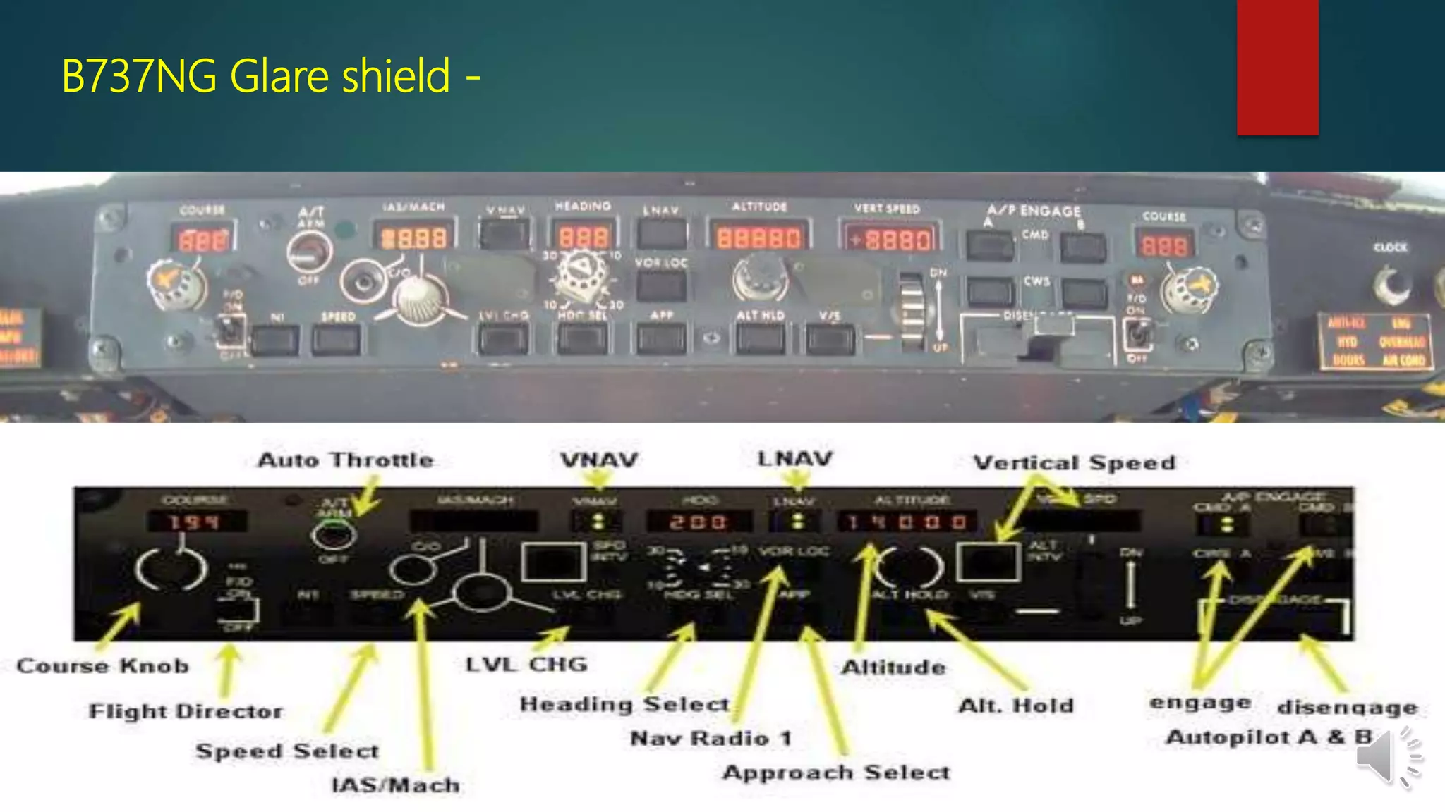 B737NG Glare shield -
 