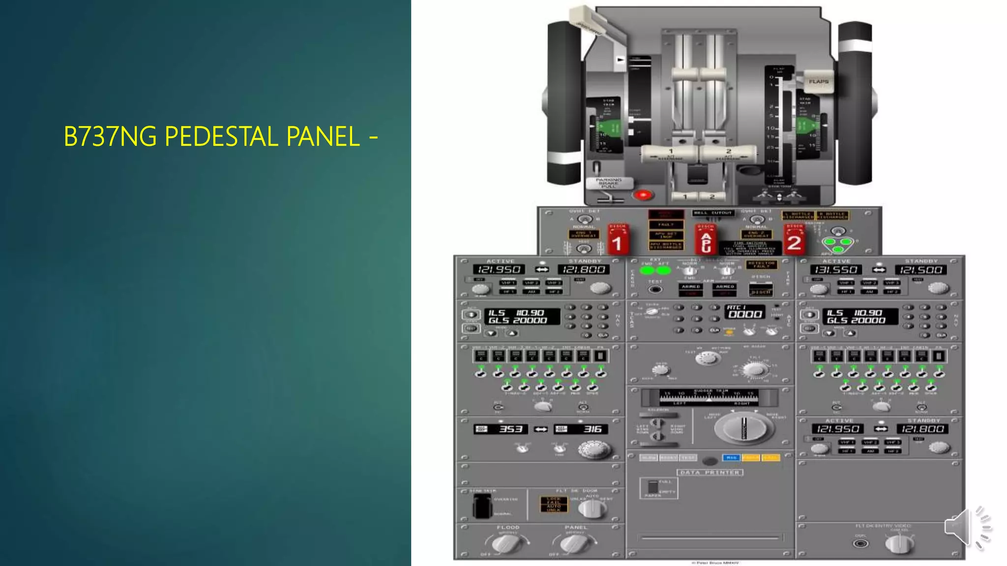 B737NG PEDESTAL PANEL -
 