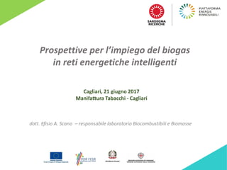 Prospettive per l’impiego del biogas
in reti energetiche intelligenti
Cagliari, 21 giugno 2017
Manifattura Tabacchi - Cagliari
dott. Efisio A. Scano – responsabile laboratorio Biocombustibili e Biomasse
 