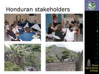 Honduran stakeholders

1
2
3
4
5

6
7
8
9

10
11
12
Royal
Agricultural
College

 