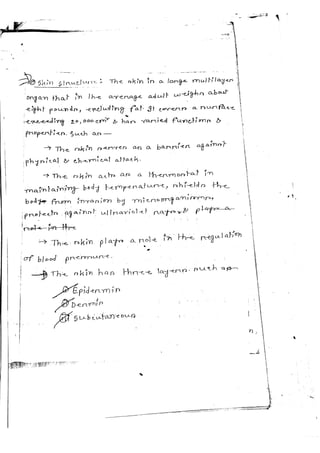 Semi solid dosage form