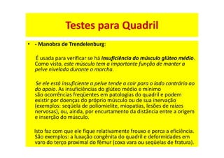 • - Manobra de Trendelenburg:
É usada para verificar se há insuficiência do músculo glúteo médio.
Como visto, este músculo tem a importante função de manter a
pelve nivelada durante a marcha.
Se ele está insuficiente a pelve tende a cair para o lado contrário ao
do apoio. As insuficiências do glúteo médio e mínimo
são ocorrências freqüentes em patologias do quadril e podem
existir por doenças do próprio músculo ou de sua inervação
(exemplos: seqüela de poliomielite, miopatias, lesões de raízes
nervosas), ou, ainda, por encurtamento da distância entre a origem
e inserção do músculo.
Isto faz com que ele fique relativamente frouxo e perca a eficiência.
São exemplos: a luxação congênita do quadril e deformidades em
varo do terço proximal do fêmur (coxa vara ou seqüelas de fratura).
Testes para Quadril
 