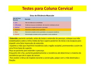 Testes para Coluna Cervical
Grau de Eficiência Muscular
Grau de Força
Muscular
Descrição
0 - zero Não há evidência de contratilidade
1 – Dificultado Evidência de pouca contratilidade, não havendo mobilidade articular
2 – Sofrível Movimento completo eliminando a gravidade
3 – Mediano Movimento completo contra a gravidade
4 – Bom Movimento completo contra a gravidade e uma pequena resistência
5 – Normal Movimentação completa contra a gravidade e contra resistência
-Extensão: paciente sentado, antes de testar a extensão do pescoço, coloque sua mão
estabilizadora sobre a linha média da face súpero-posterior do tórax e da escápula para
impedir uma falsa impressão de extensão.
Espalme a mão que imprimirá resistência sob a região occipital, promovendo-a assim de
uma firme base de suporte.
Peça ao paciente para estender o pescoço.
Enquanto ele o faz, aumente gradativamente a resistência até determinar o máximo de
resistência que ele é capaz de vencer.
Para avaliar o tônus do trapézio durante a construção, palpar com a mão destinada a
fixação.
 