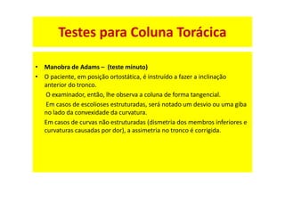 • Manobra de Adams – (teste minuto)
• O paciente, em posição ortostática, é instruído a fazer a inclinação
anterior do tronco.
O examinador, então, lhe observa a coluna de forma tangencial.
Em casos de escolioses estruturadas, será notado um desvio ou uma giba
no lado da convexidade da curvatura.
Em casos de curvas não estruturadas (dismetria dos membros inferiores e
curvaturas causadas por dor), a assimetria no tronco é corrigida.
Testes para Coluna Torácica
 