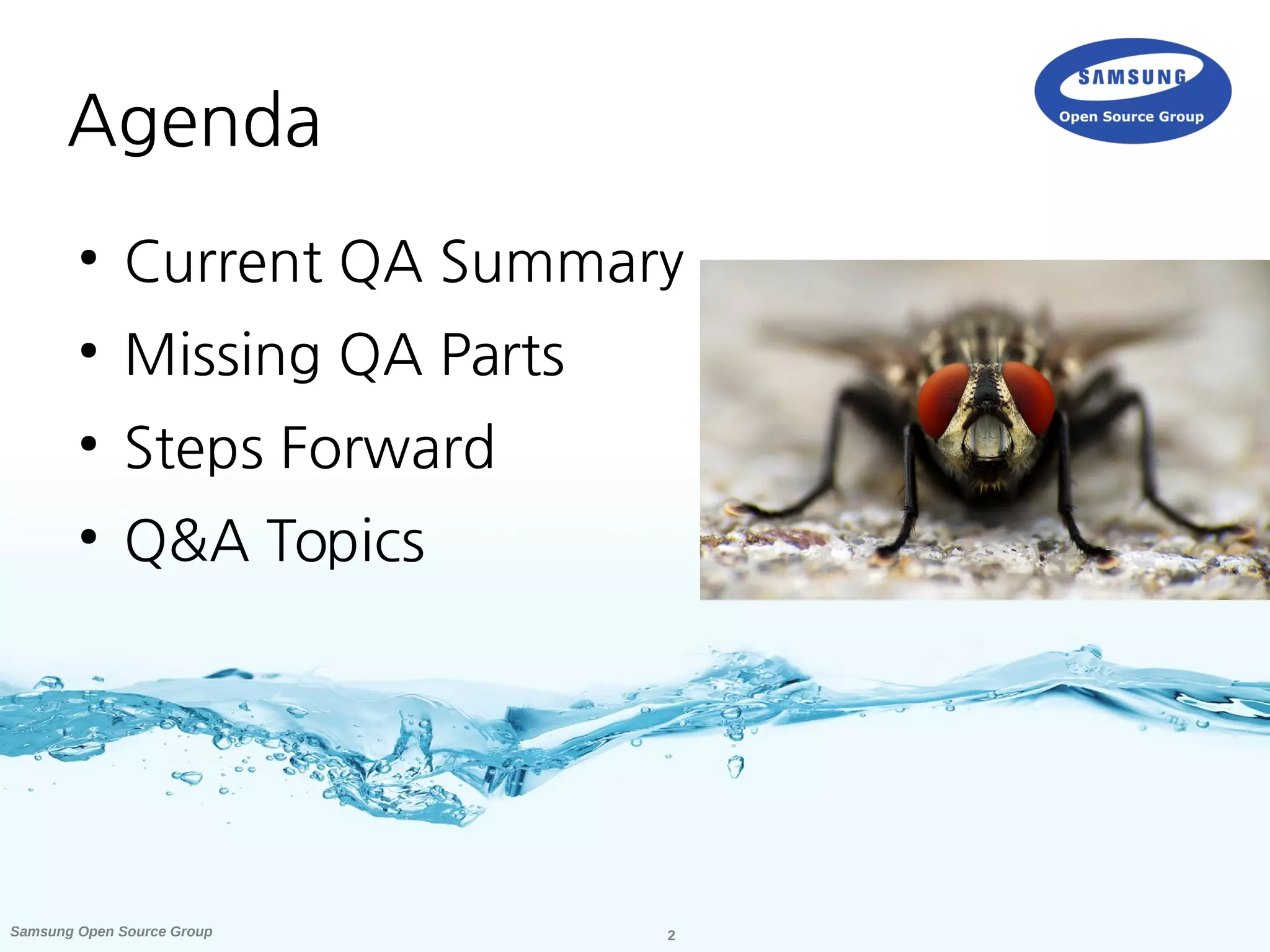 2Samsung Open Source Group
Agenda
●
Current QA Summary
●
Missing QA Parts
●
Steps Forward
●
Q&A Topics
 