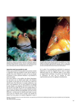 Une blennie à l'expression amusante et légèrement déconcertée, prise en
attendant que la créature sorte la tête du corail. Lieu : Iriomote-jima, préfecture
d'Okinawa (Japon)·profondeur de l'eau : environ 9 m/30 pieds·EF 180 mm
f/3,5L Macro USM·1/125 sec.·f/8·ISO/200·balance des blancs/balance des
blancs automatique·boîtier étanche·2 flashes sous-marins·autofocus

Une girelle jetant un coup d'œil furtif de derrière une végétation sous-marine,
montrant sa belle coloration nuptiale indiquant la période de frai. Lieu : Atami,
préfecture de Shizuoka (Japon)·profondeur de l'eau : environ 17 m/56 pieds
·EF 100 mm f/2,8 Macro USM·1/125 sec.·f/11·ISO/200·balance des blancs/balance
des blancs automatique·boîtier étanche·2 flashes sous-marins·autofocus

Approchez autant que possible du sujet

de le cadrer. Il est probablement préférable de commencer
d'abord par un sujet lent. Regardez dans le viseur et essayez
différentes prises de vue à différents angles. Si vous utilisez
un appareil photo numérique, vous pouvez voir l'image dans
le collimateur, de sorte que les résultats de votre
expérimentation peuvent être appliqués immédiatement.

L'astuce pour prendre de bonnes photos sous-marines consiste
à s'approcher autant que possible du sujet, afin de réduire la
quantité d'eau entre l'objectif et le sujet, car l'eau est chargée
de plancton et autres particules flottantes, ce qui diminue la
clarté de la photo.
Vous devez décider si vous préférez des photos dynamiques
du sujet prises avec un objectif grand angle à des distances
très proches, ou des prises de vue du sujet seul, à l'aide d'un
objectif macro. Pour déterminer vos propres préférences, vous
devez vous familiariser avec un type d'objectif. Les objectifs
les plus adaptés à ces situations sont l'EF 20 mm f/2,8 USM,
l'EF 28 mm f/1,8 USM, l'EF 50 mm f/2,5 Compact Macro et
l'EF 100 mm f/2,8 Macro USM. Les ports d'objectif du boîtier
(partie contenant l'objectif) sont disponibles sous deux formes
différentes : un dôme pour les objectifs grand angle et un port
macro pour les objectifs macro. Lorsque vous décidez de
choisir l'un d'eux, pensez à la manière d'approcher le sujet et

Remarque : Concernant les prises de vue avec boîtiers étanches : des logements de port dôme (pour les objectifs grand angle) et macro (pour les objectifs macro) sont disponibles.
WB : Balance des blancs.
AWB : Balance des blancs automatique.

154

 