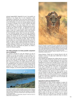 principe inapprochable s'approche de vous si vous gardez vos
distances et ne bougez pas. Si vous réussissez à faire
comprendre à l'animal que vous n'avez pas l'intention de lui
faire du mal, il peut alors venir très près. C'est par exemple le
cas du bébé phoque ou encore du macaque japonais, qui tend
à converger en groupes vers les sources chaudes naturelles
des montagnes. Si vous vous trouvez dans une réserve
naturelle en Afrique, des familles d'éléphants peuvent passer
à côté de votre voiture de safari : un objectif EF 16-35 mm
f/2,8L USM est dans ce cas utile pour obtenir le grand angle
requis et saisir un si grand animal à partir d'une distance
relativement proche, tout en incluant la savane environnante.
Si vous recherchez quelque chose d'un peu plus champêtre,
vous n'aurez probablement pas besoin d'un téléobjectif pour
capturer des images de loin. Par exemple, un téléobjectif
standard ou moyen peut s'avérer pratique pour photographier
des chevaux ou des vaches dans un ranch ; dans ce cas, faire
des gros plans avec un arrière-plan légèrement flou permet de
mettre en valeur le sujet et donne beaucoup plus d'impact à
l'image. L'angle de champ relativement large vous permet de
prendre davantage de liberté avec l'arrière-plan, comme par
exemple pour saisir l'immensité des plaines, en veillant à
exclure les éléments superflus.

Une faible profondeur de champ possible uniquement
avec un téléobjectif.
Les animaux sauvages ne vont pas toujours où vous le
souhaitez ni où vous vous attendez à ce qu'ils aillent. Ils se
cachent souvent dans les sous-bois, en haut des arbres ou
dans les hautes herbes, ce qui peut entraver une bonne prise
de vue. Vous voulez une photo propre et nette, mais vous êtes
gêné par des branches et des feuilles, par exemple. Que
faire ? Vous pouvez profiter de la faible profondeur de champ
d'un téléobjectif pour tout exclure de la mise au point hormis
le sujet de la photo, en attirant par conséquent l'attention du
spectateur sur l'animal et non sur l'environnement. Plus la
focale est longue, ou l'ouverture grande, plus la profondeur de

Les lions s'allongent en attendant leur proie, dissimulés dans les hautes
herbes de la savane. L'herbe et la coloration protectrice du lion, en plus de
l'herbe devant sa tête font qu'il est difficile de distinguer le lion à l'œil nu, mais
avec un super-téléobjectif 500 mm et sa faible profondeur de champ sans égal,
vous pouvez créer un effet de flou tout autour de la tête du lion pour mettre
celle-ci en valeur. Veillez à choisir les yeux du lion comme point central.
Lion·Réserve nationale de Buffalo Springs, Kenya·EF 500 mm f/4L IS
USM·priorité à l'ouverture AE·f/4

champ diminue. L'herbe qui se trouvait devant la tête de
l'animal à l'œil nu n'est plus aussi visible dans le viseur à
ouverture maximum.
Cette méthode peut également être utilisée dans les zoos pour
exclure de la photo les éléments gênants tels que les barreaux
de cage et barrières. La faible profondeur de champ d'un
téléobjectif vous permet de les brouiller pour les exclure de la
prise de vue, en conservant uniquement le félin comme centre
d'attention. Amenez l'appareil photo aussi près que possible
d'une partie ombragée de la barrière et photographiez
l'animal quand il est à l'écart de celle-ci. Les téléobjectifs ne
sont plus réservés aux cimes et aux événements sportifs.
Veillez cependant à bien effectuer la mise au point sur les
yeux de l'animal. Il s'agit d'une règle applicable de manière
générale. Lorsque vous prenez une photo avec un téléobjectif
à ouverture maximum, la profondeur de champ devient très
faible, et si votre point central est le nez ou la bouche de
l'animal, les yeux seront flous.

Approchez le soleil avec Extender EF 2x@

Le mois d'août constitue la meilleure période pour voir des gnous traverser la
rivière Mara, souvent par troupeaux de milliers d'individus à la fois. J'essayais
mon 500 mm, quand ces gnous sont soudain apparus devant moi. Un alligator
s'était approché, effrayant les gnous dans leur traversée et les faisant
remonter la rivière. J'ai pu saisir ce moment avec le zoom 70-200 mm fixé sur
un autre appareil photo.
Gnous·Réserve nationale du Masaï Mara, Kenya·EF 70-200 mm f/2,8L IS
USM·priorité à l'ouverture AE·f/4

La photographie en milieu sauvage implique la capture de
l'environnement des animaux et ne se limite pas à des gros
plans de lions, d'ours et de gazelles. Le soleil reste un élément
qu'aucun photographe ne peut espérer approcher un jour.
Pour obtenir une photo dans laquelle le soleil remplit une
zone importante du cadre, la focale d'un objectif doit être très
longue. Le soleil occupe une zone d'environ 1 % de la focale
dans le cadre, de sorte que son diamètre sera de 2 mm si
l'objectif utilisé est un 200 mm, ou 5 mm pour un objectif
500 mm. Aussi, pour remplir la moitié du viseur, vous devrez
158

 