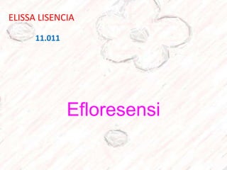 Efloresensi
ELISSA LISENCIA
11.011
 
