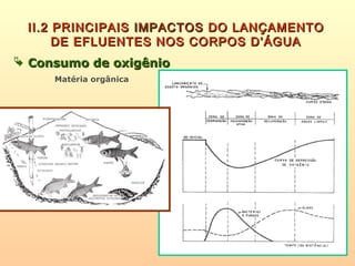II.2 PRINCIPAISII.2 PRINCIPAIS IMPACTOSIMPACTOS DO LANÇAMENTODO LANÇAMENTO
DE EFLUENTES NOS CORPOS D’ÁGUADE EFLUENTES NOS CORPOS D’ÁGUA
 Consumo de oxigênioConsumo de oxigênio
Matéria orgânica
 