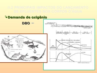 II.2 PRINCIPAIS IMPACTOS DO LANÇAMENTO
DE EFLUENTES NOS CORPOS D’ÁGUA
Demanda de oxigênioDemanda de oxigênio
DBODBO
 
