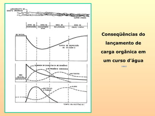 Conseqüências do
lançamento de
carga orgânica em
um curso d’água
 
