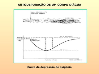 Curva de depressão de oxigênio
AUTODEPURAÇÃO DE UM CORPO D’ÁGUA
 