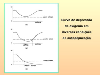 Curva de depressão
de oxigênio em
diversas condições
de autodepuração
 