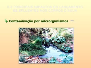 II.2 PRINCIPAIS IMPACTOS DO LANÇAMENTO
DE EFLUENTES NOS CORPOS D’ÁGUA
 Contaminação por microrganismosContaminação por microrganismos
 