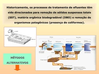 Historicamente, os processos de tratamento de efluentes têm
sido direcionados para remoção de sólidos suspensos totais
(SST), matéria orgânica biodegradável (DBO) e remoção de
organismos patogênicos (presença de coliformes).
MÉTODOSMÉTODOS
ALTERNATIVOSALTERNATIVOS
 