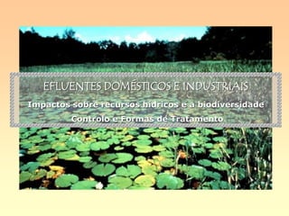 EFLUENTES DOMÉSTICOS E INDUSTRIAIS
Impactos sobre recursos hídricos e a biodiversidade
Controlo e Formas de Tratamento
 