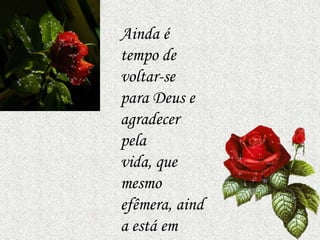 Ainda é
tempo de
voltar-se
para Deus e
agradecer
pela
vida, que
mesmo
efêmera, aind
a está em
 