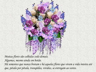 Muitas flores são colhidas cedo demais.
Algumas, mesmo ainda em botão.
Há sementes que nunca brotam e há aquelas flores que vivem a vida inteira até
que, pétala por pétala, tranqüilas, vividas, se entregam ao vento.
 