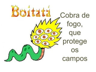 Cobra de fogo, que protege os campos 