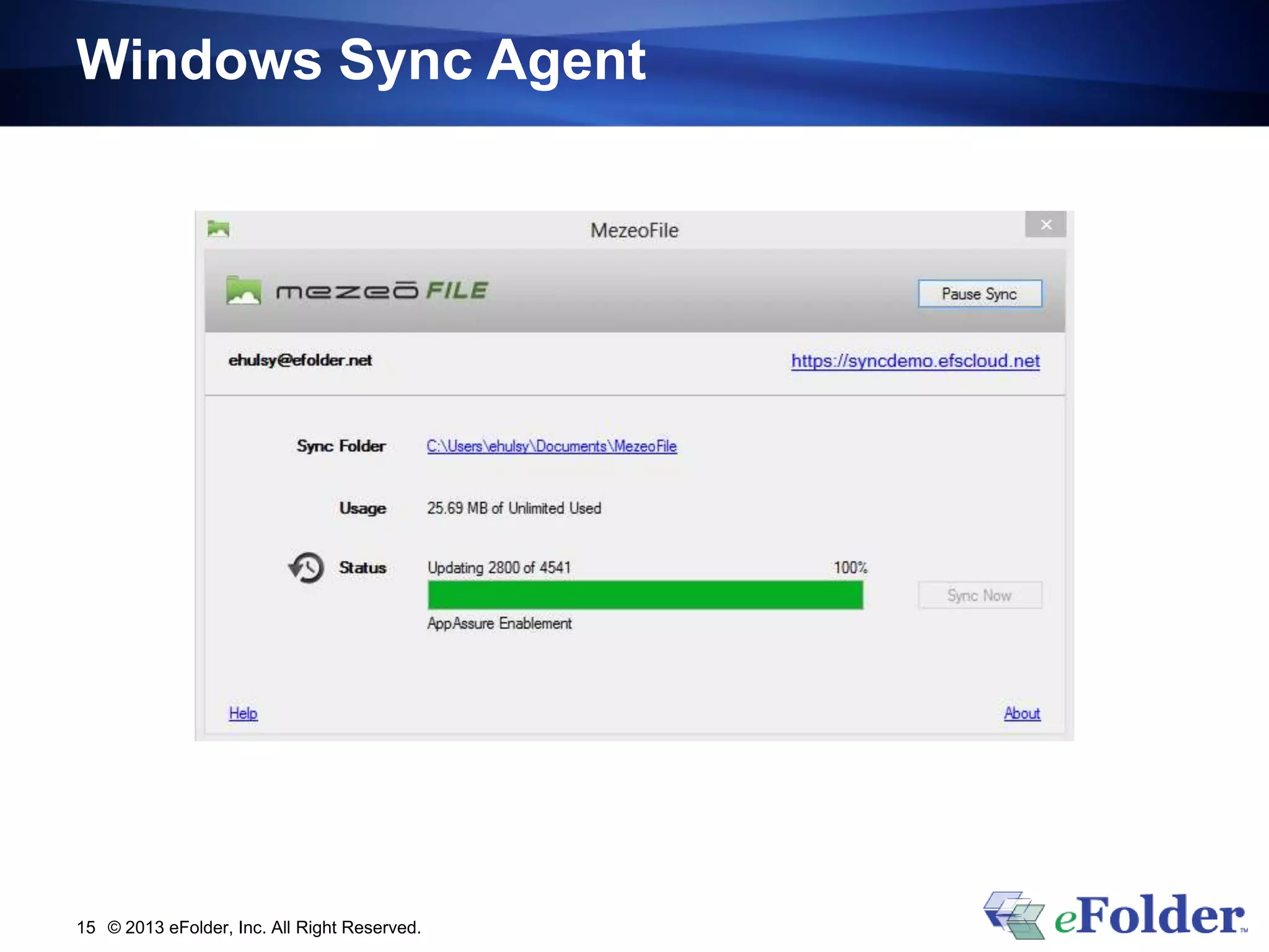 Windows Sync Agent
© 2013 eFolder, Inc. All Right Reserved.15
 