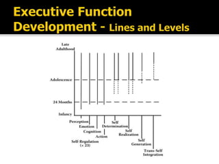 Executive Function of Brain | PPTX