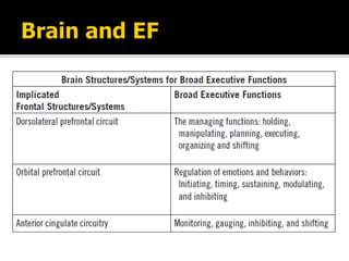 Executive Function of Brain | PPTX