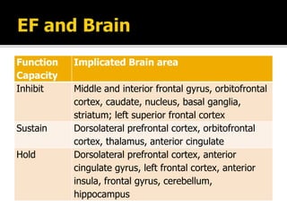 Executive Function of Brain | PPTX